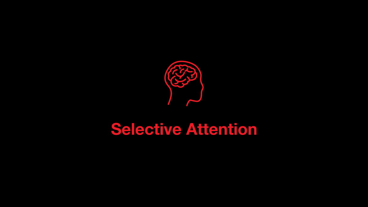 Selective Attention