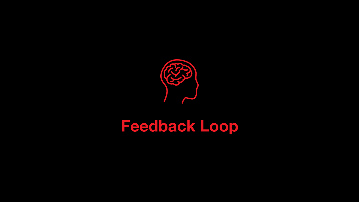 Feedback Loop